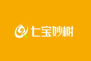 七寶妙樹功守妙果，每日堅果酥55g 代理加盟與市場機遇分析